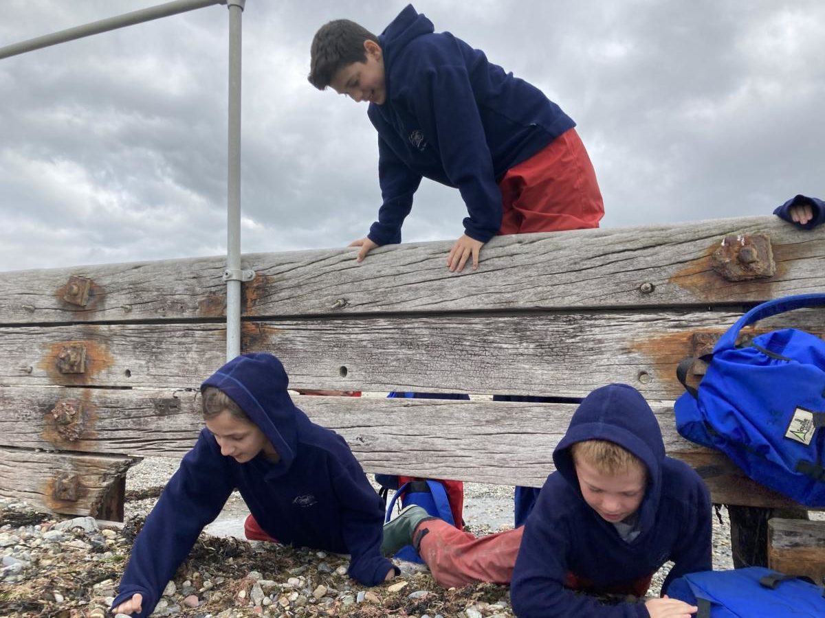 Beach and Navigation Grp B & E