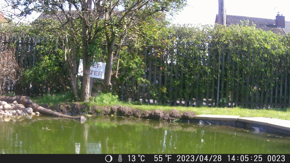School Pond Webcam