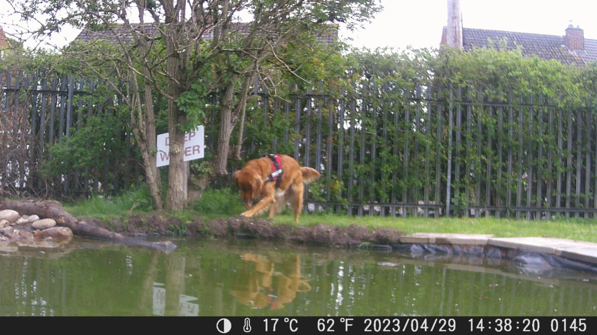 School Pond Webcam