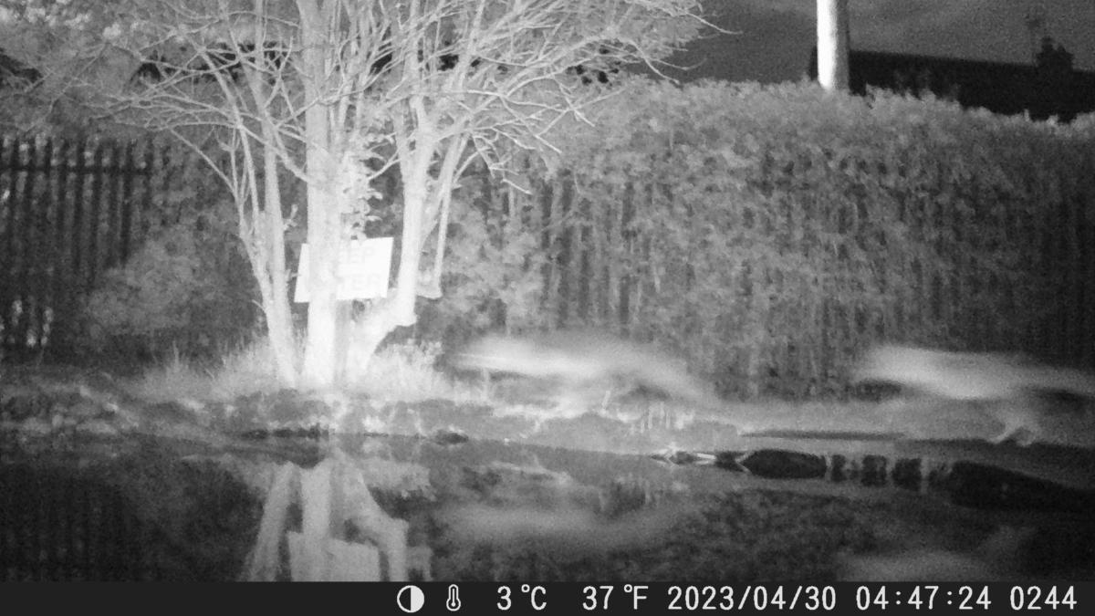 School Pond Webcam