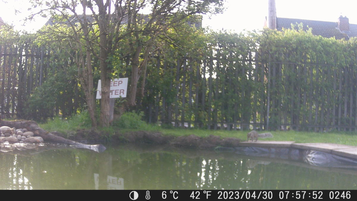 School Pond Webcam