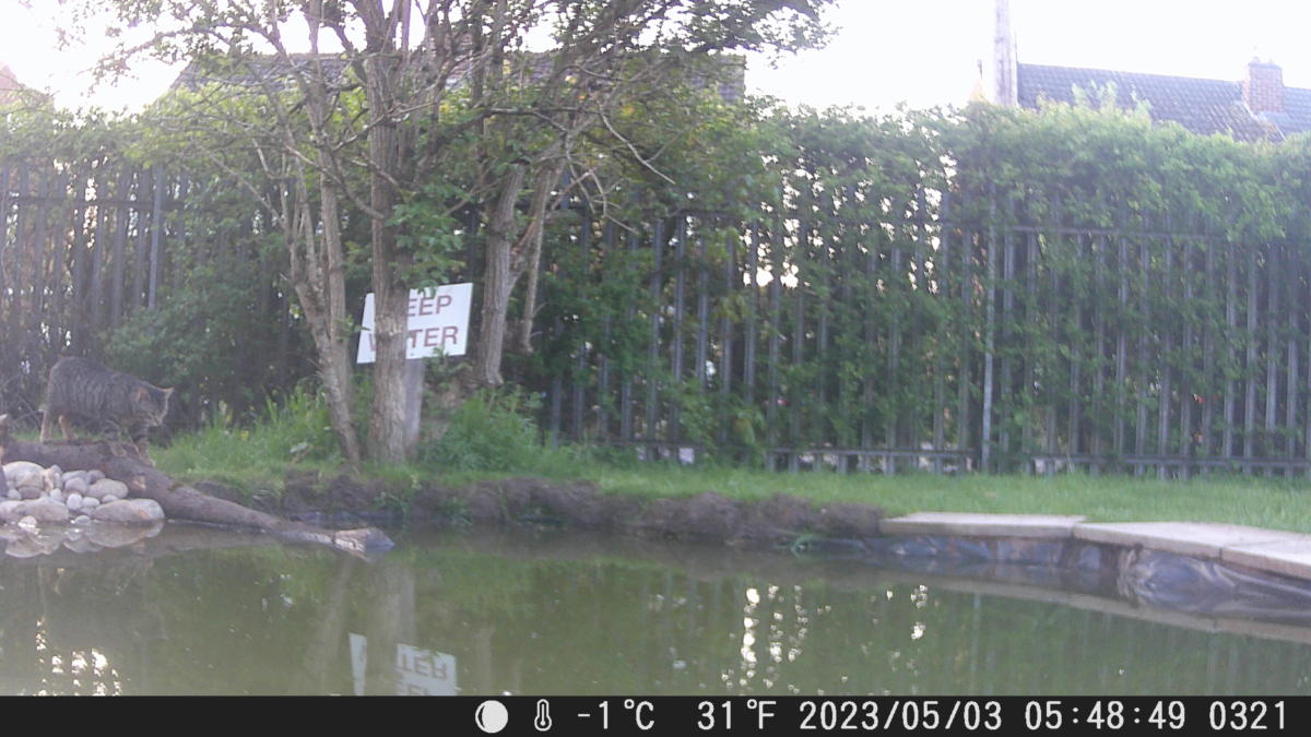 School Pond Webcam