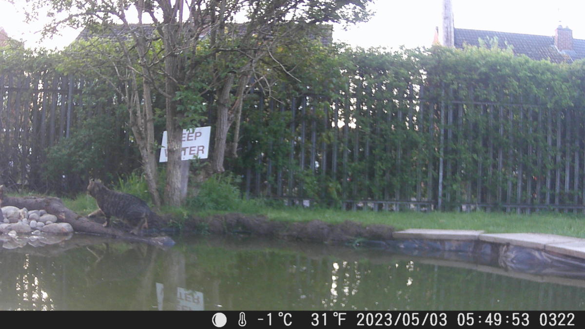School Pond Webcam