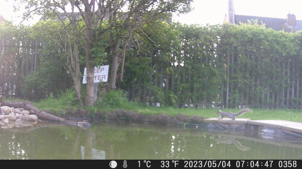 School Pond Webcam