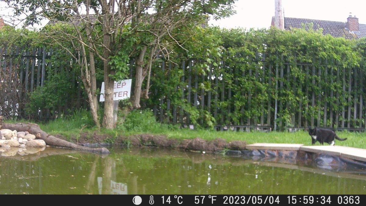School Pond Webcam
