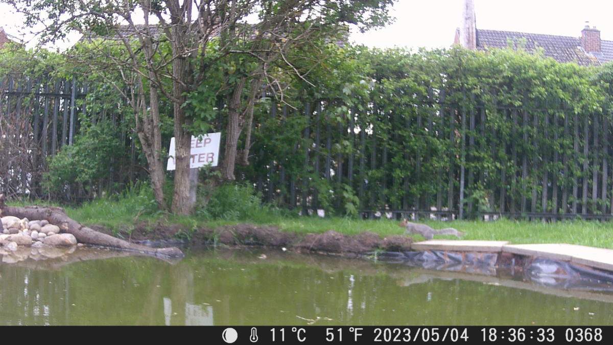 School Pond Webcam