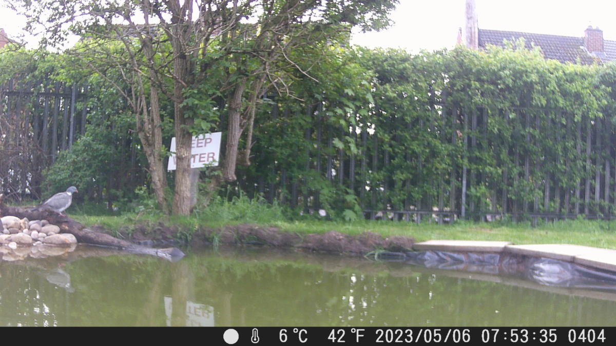 School Pond Webcam
