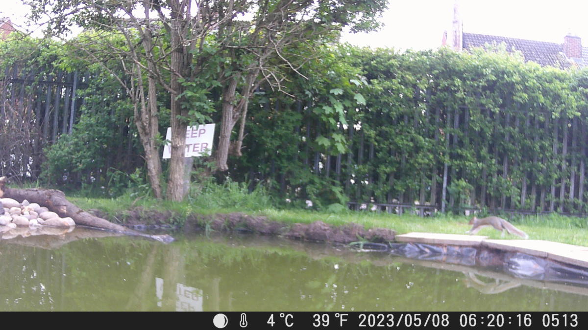 School Pond Webcam