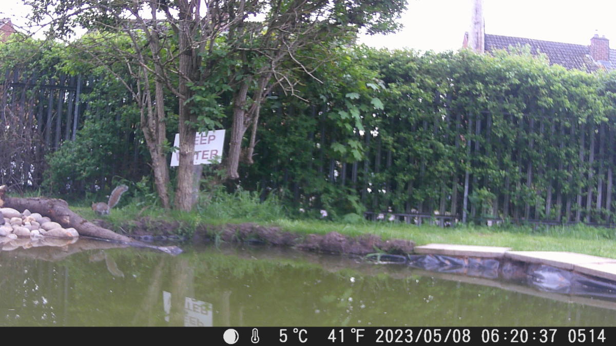 School Pond Webcam